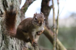 img_9540