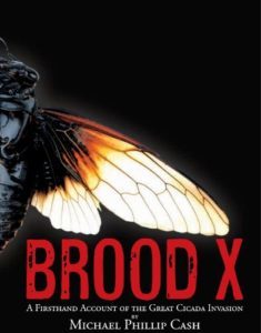 brood