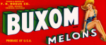buxom