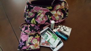 purse-proj-jlr01-jpg