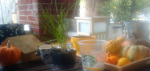 porch1