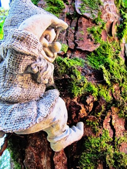 …gnome…