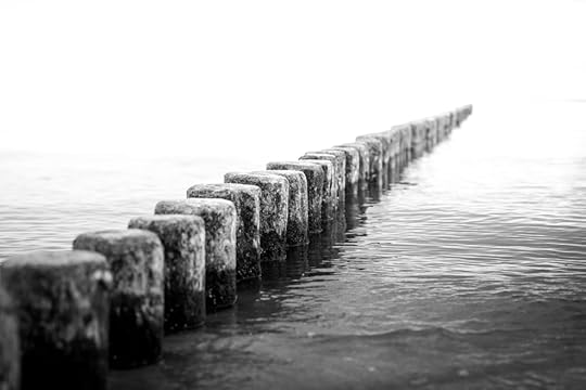 Make the Commitment | Tracie Braylock