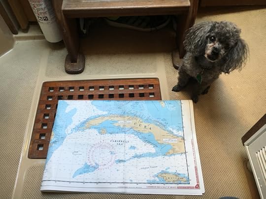 photo-may-08-8-56-35-am