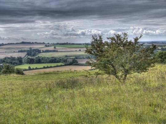 renbridge-landscape