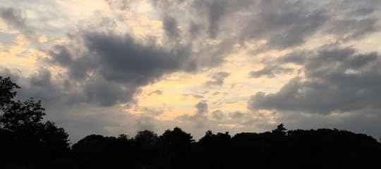 A picture of the night sky in Essex