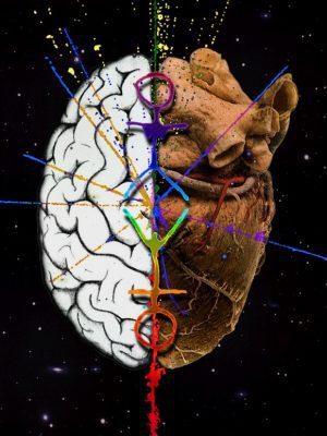 left-right-brain-e1477354326912