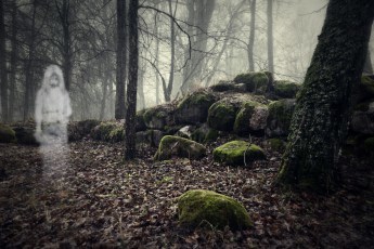 Drawn ghost of the girl in the wood