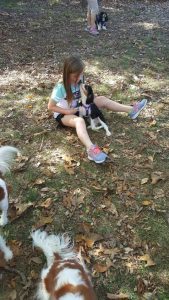 Making friends