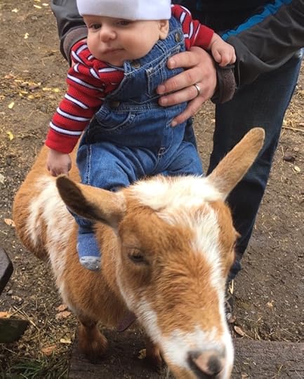 My little grandson, Caleb, got to ride a little goat.