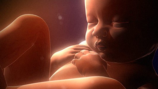 womb