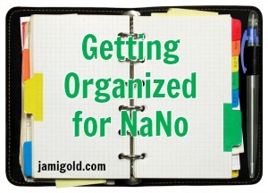 Open organizer with text: Getting Organized for Nano