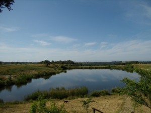Lago anexo a la casa rural 