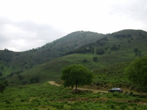 De Candeleda a El Raso 