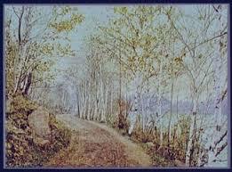 Image result for northern autumn