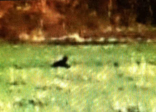 2015-04-30-leesaprilbc-027