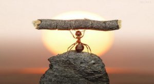 the-benefits-of-hard-work
