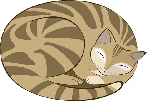 gatto_dormiente_marrone