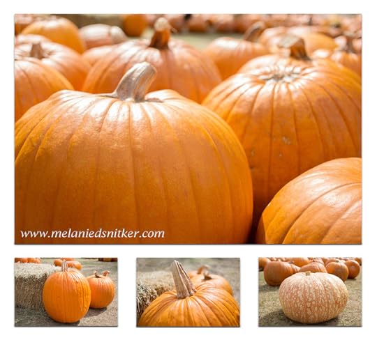 Fall Pumpkin Beauty by Melanie D. Snitker