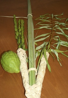 A Sukkot etrog and lulav.