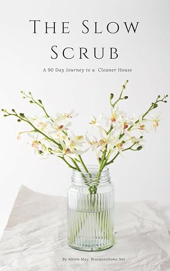 The Slow Scrub