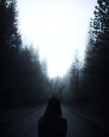 Photograph by Daniel Vazquez