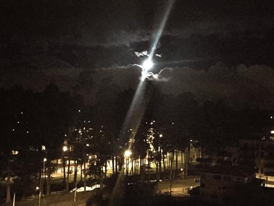 Night - full moon