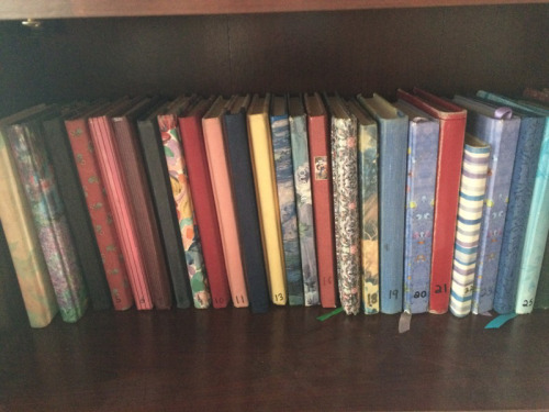 journal-shelf