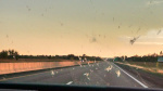 Oklahoma: Big Sky, Big Bugs