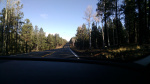 8000 feet above sea level