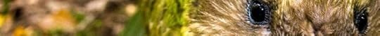 aaa