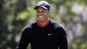 tiger-not-ready