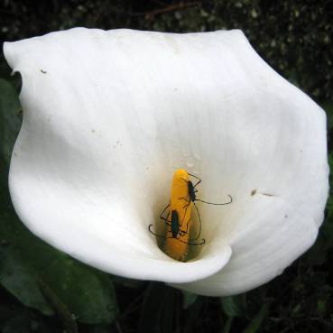 11226071_10152964247800636_6085789069902930473_o-6