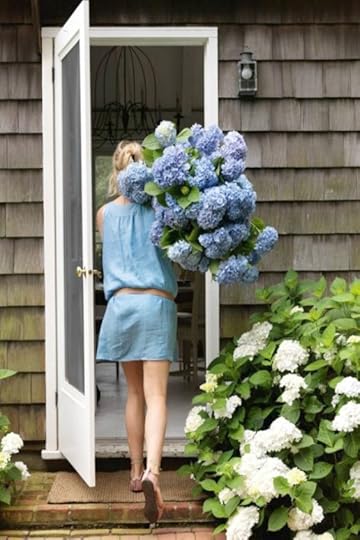 hydrangeas