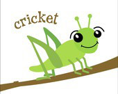 cricket