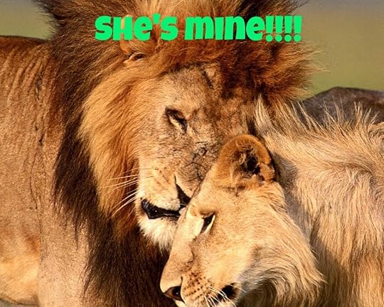  photo b0cbc9f3-66a0-400b-ae30-03d2648f02f9_zpsniq5o7ys.jpg