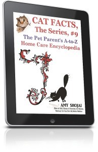 ipadverticalright_634x982