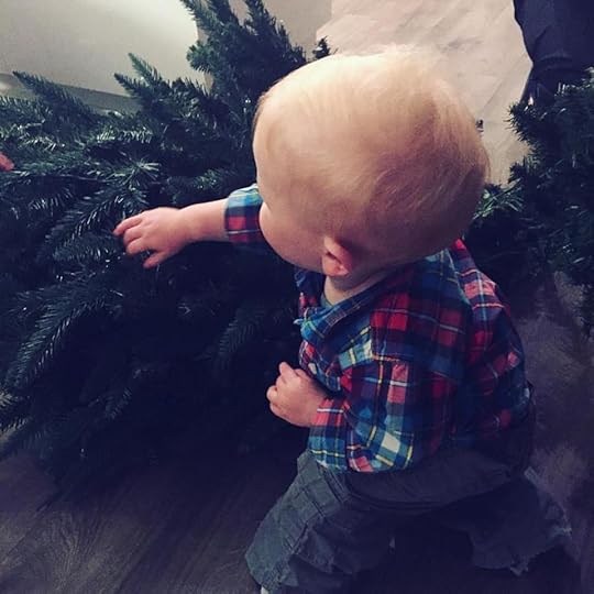 Putting up the Christmas tree