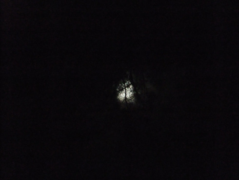 dscf9139