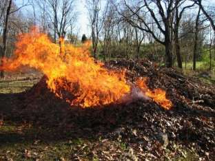 burning-leaf-pile