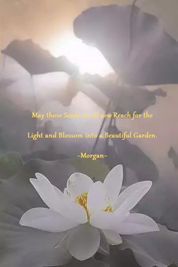 reach-for-the-light