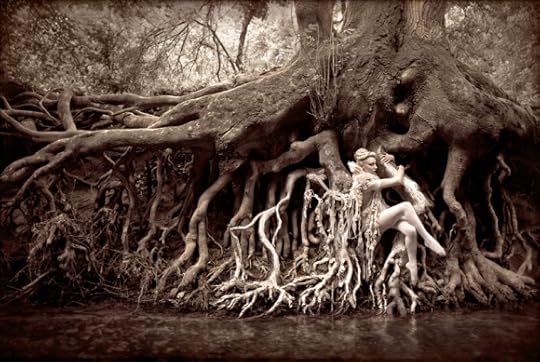 Dryad by Kristy Mitchell