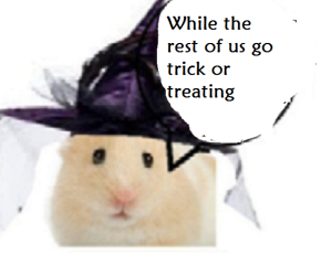 zsilvghghghghghgggghg