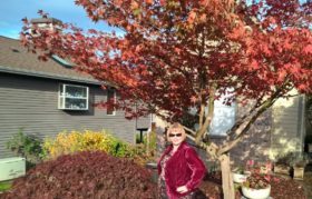 Pre-reading - the sun came out!