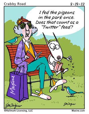 431168_10151028286837945_1979468879_n