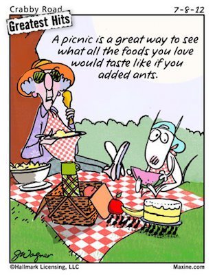 539811_10150942911372945_1552031415_n