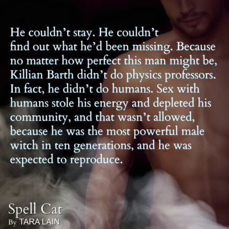 teaser-graphic-1-spell-cat-by-tara-lain