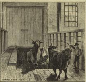 abattoir1877nyplv-l-kingsburythemanhattanabattoir