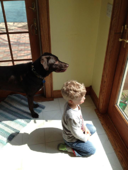 PawsGivingIndyMichealDuncan