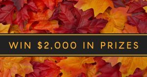 14689216_10154254418224213_221622104_o